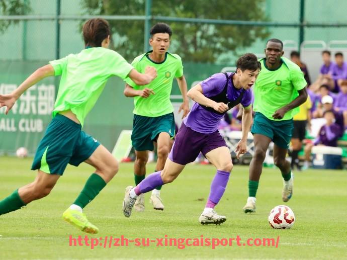 杏彩体育-法甲战术打法特点及球队战术风格分析