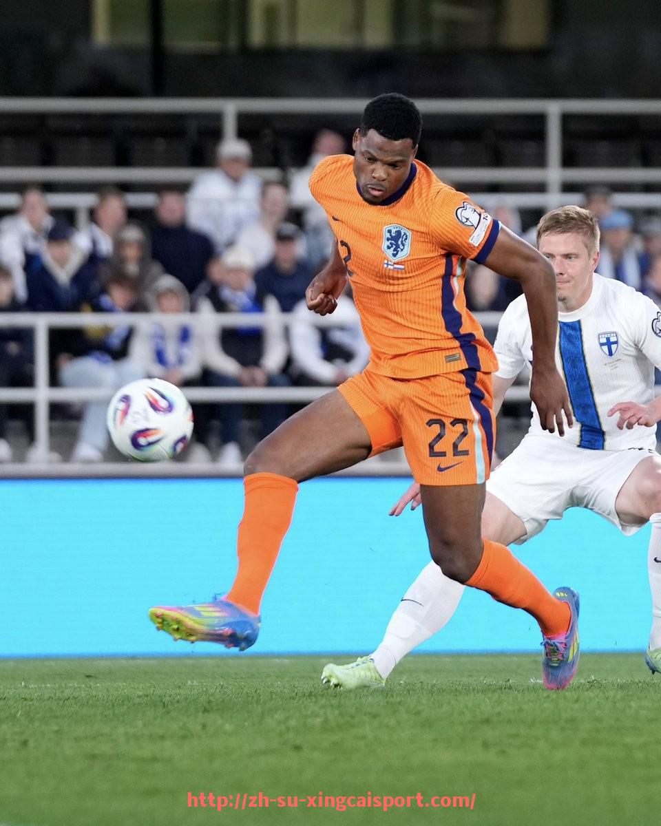 杏彩体育-NBA火箭队季前赛视频回放与新援表现评估