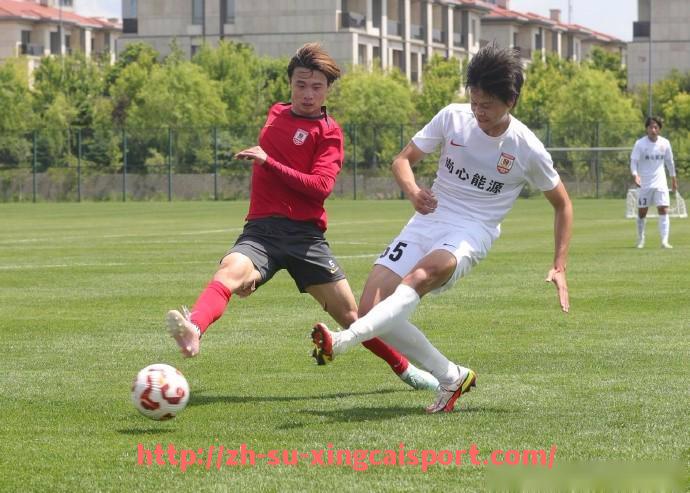 杏彩体育-世俱杯比赛环境保护及绿色赛事