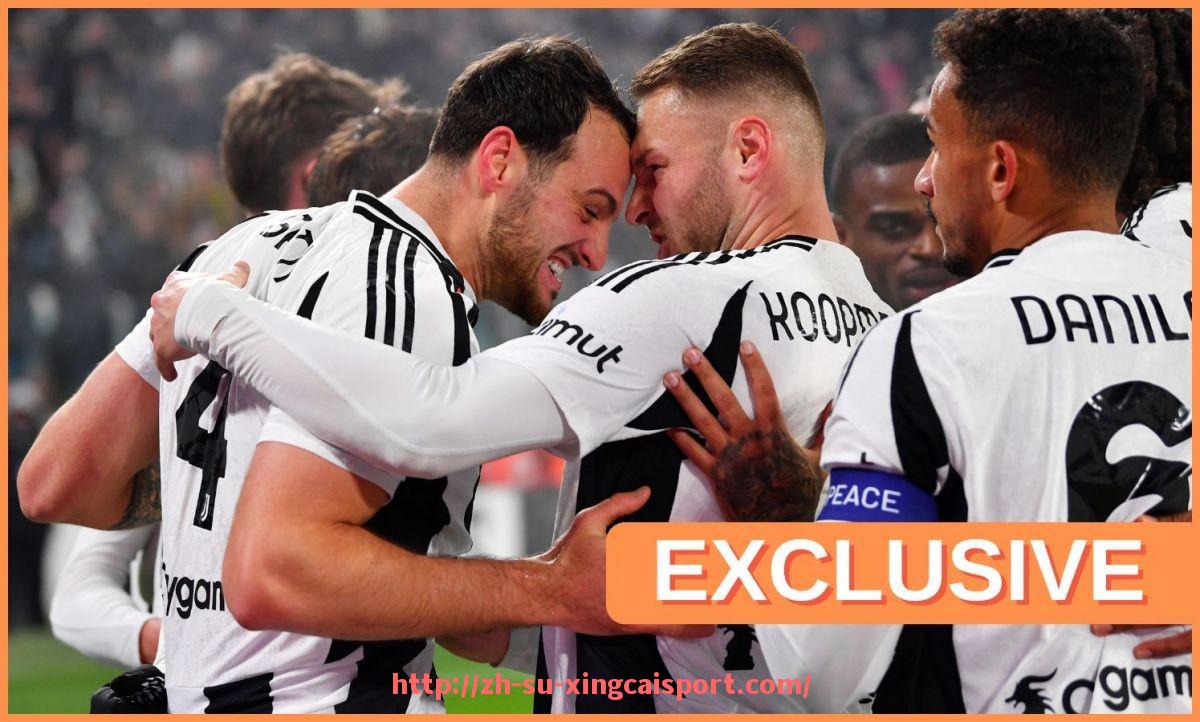 杏彩体育-世俱杯比赛用球标准演变史及最新国际认证规范