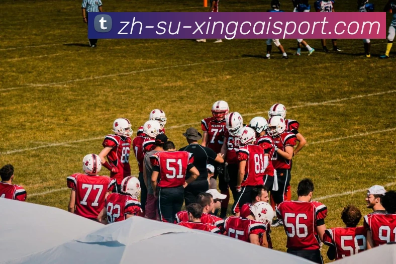 杏彩体育APP 封面图